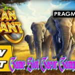 Situs Agen Game Slot Gacor Gampang Menang Resmi dan Terpercaya 2023 African Elephant